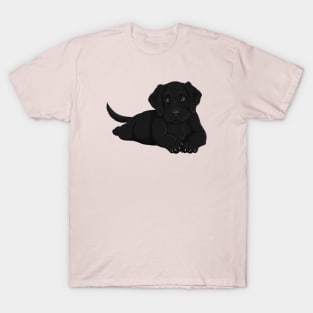 Labrador Puppy T-Shirt